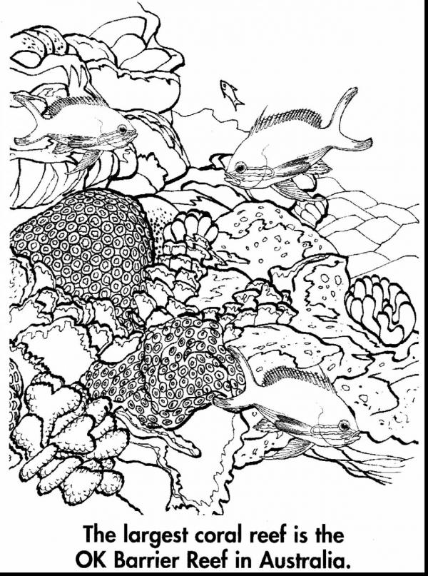 preview Barrier Reef coloring