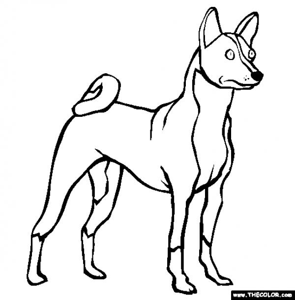 preview Basenji coloring