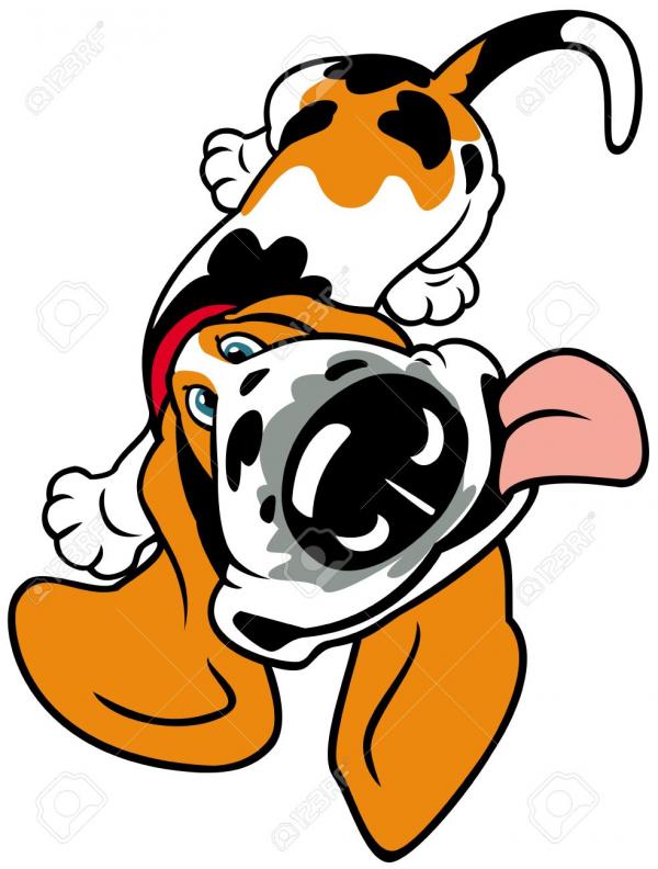 Basset Hound clipart