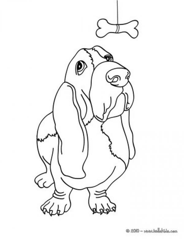 preview Basset coloring