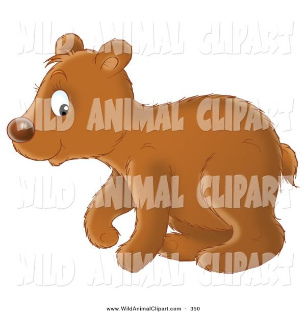 Bear Cub clipart