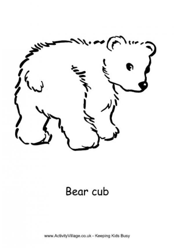 Bear Cub coloring