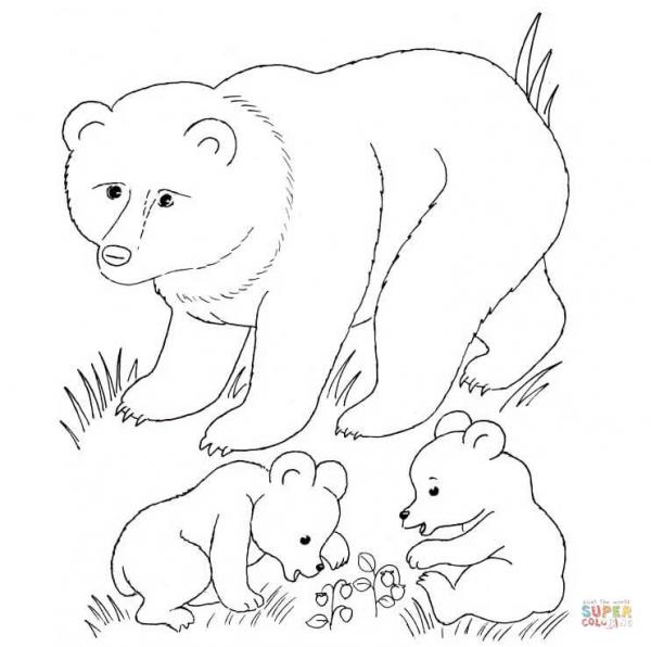 preview Grizzly Cubs coloring