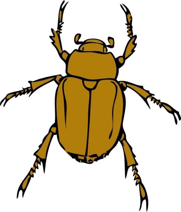 preview Bug clipart