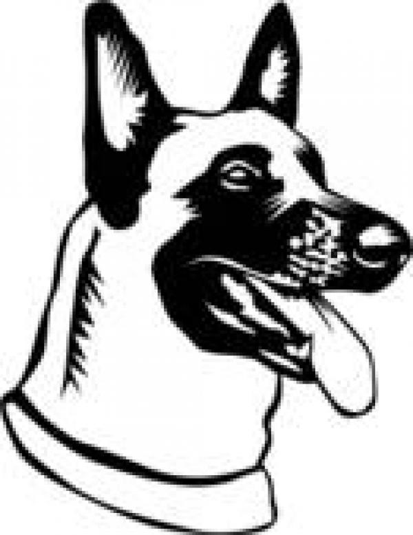 Belgian Malinois clipart