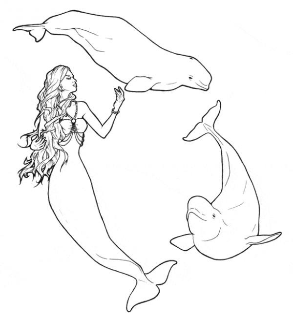 preview Beluga coloring