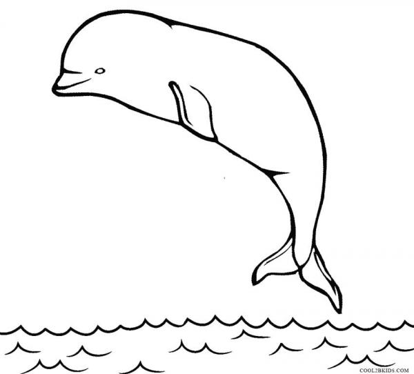 preview Beluga Whale coloring