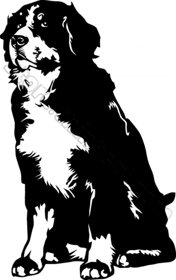 Bernese Mountain Dog clipart