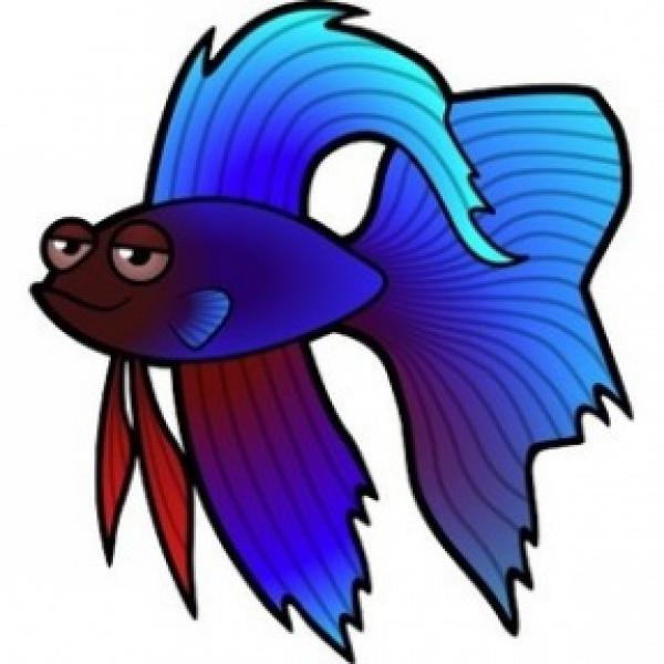 Betta clipart