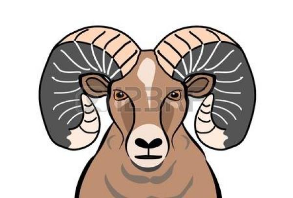 Bighorn Sheep clipart