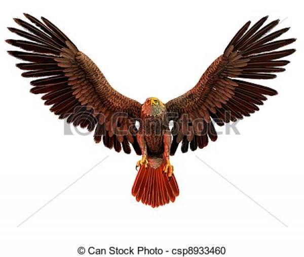 Bird Of Prey clipart