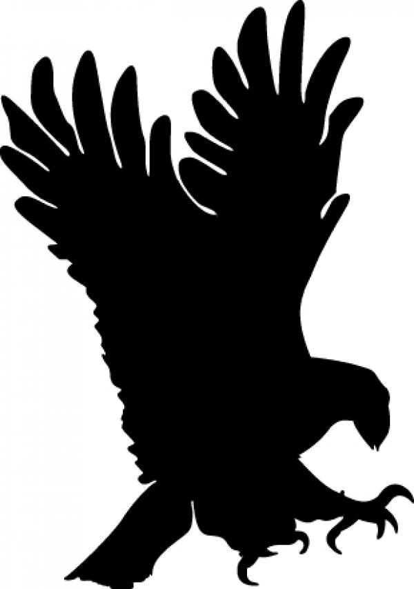 Black Eagle clipart