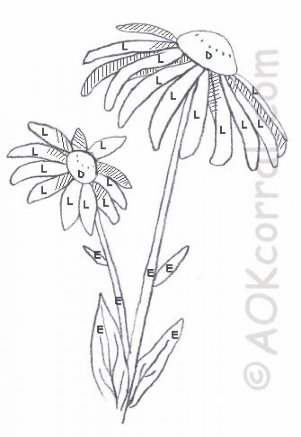 preview Black-eyed Susan coloring