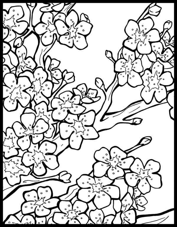 preview Blossom coloring