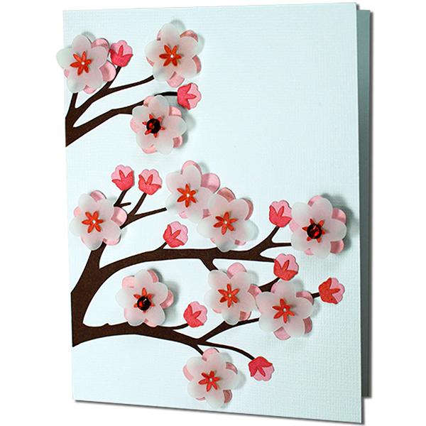 Cherry Blossom svg