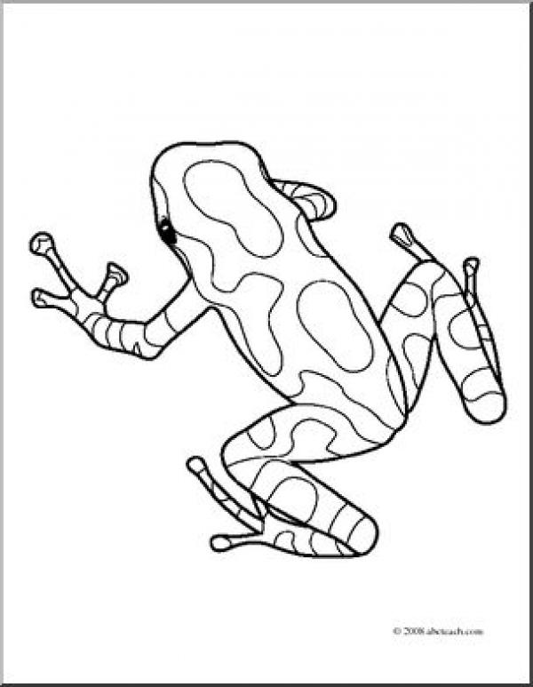 preview Blue Poison Dart Frog coloring