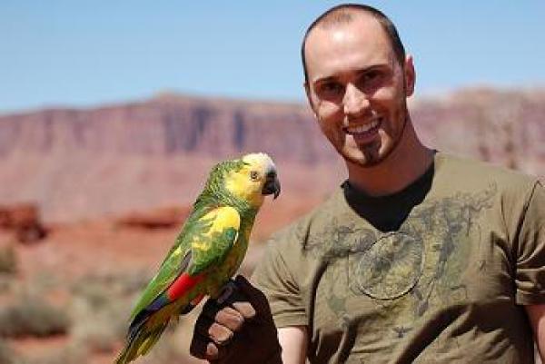 Blue-fronted Parrot coloring