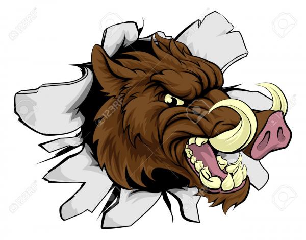 Boar clipart