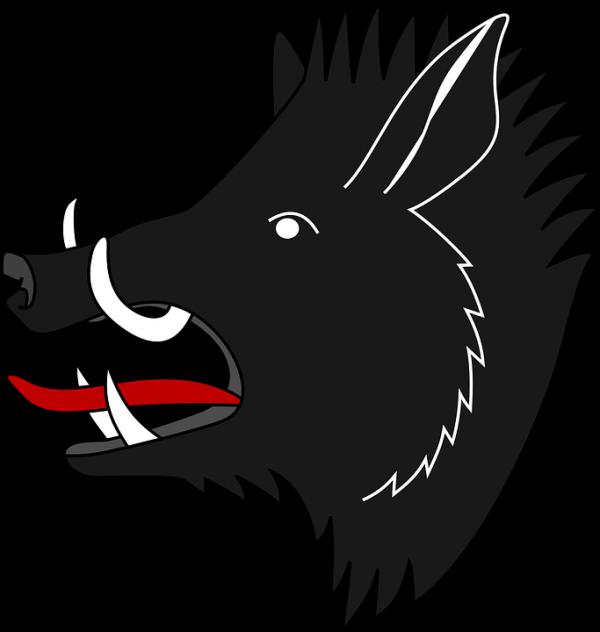 preview Boar svg