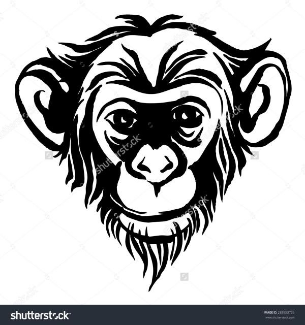 Bonobo clipart