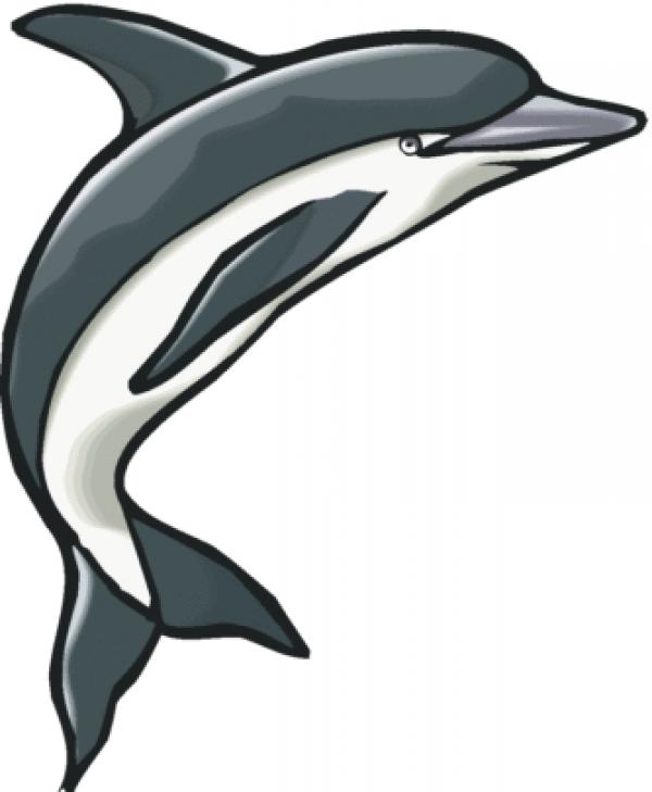 Bottlenose Dolphin clipart