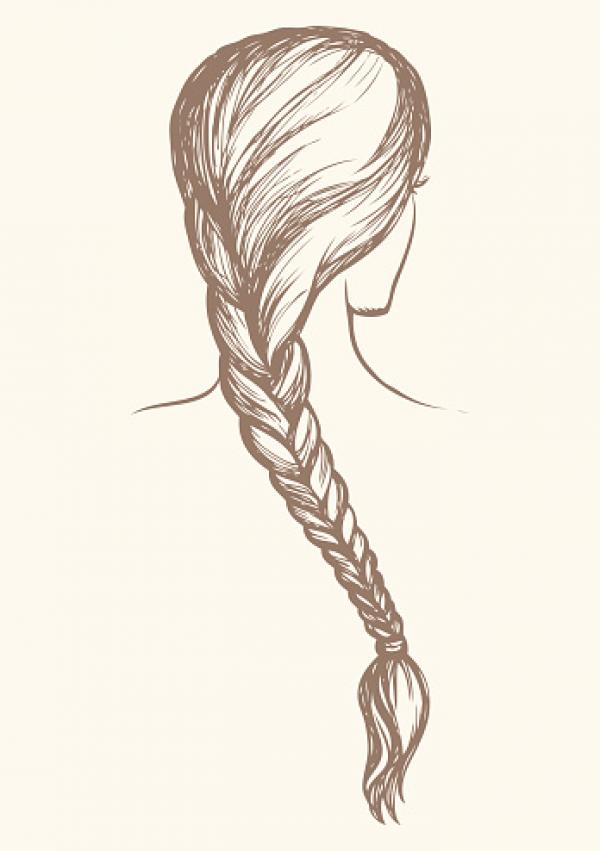 preview Braid clipart