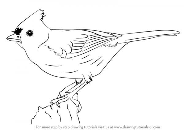 preview Bridled Titmouse svg