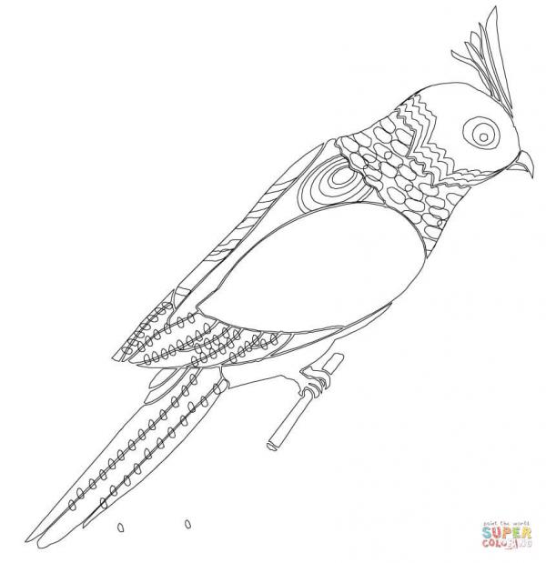 preview Budgerigars coloring