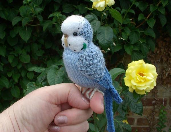 preview Budgerigar svg