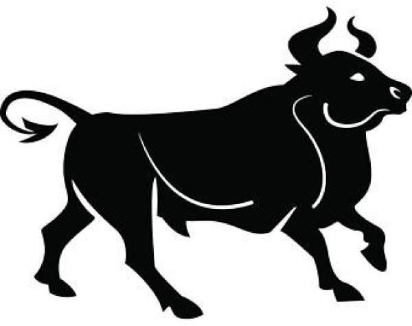 preview Bull svg