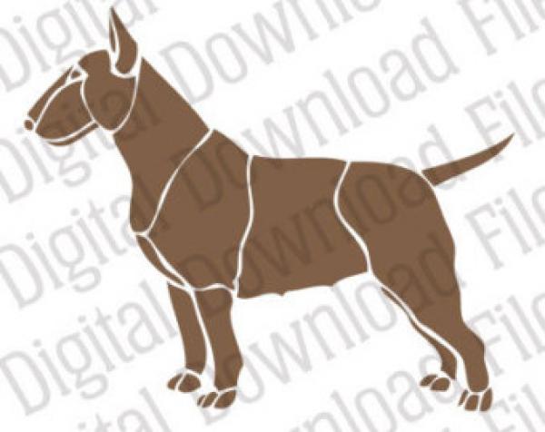 preview Bull Terrier svg