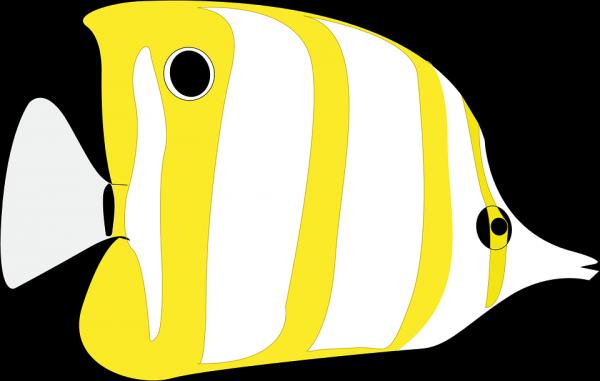 preview Butterflyfish svg