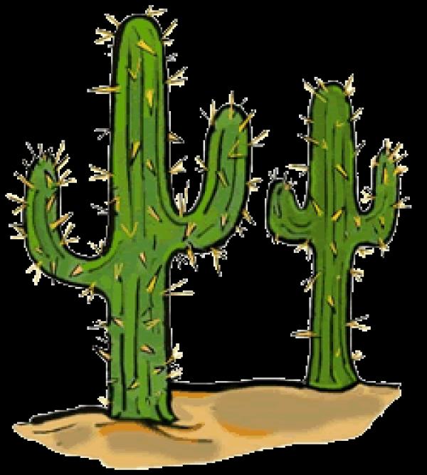 preview Cactus clipart