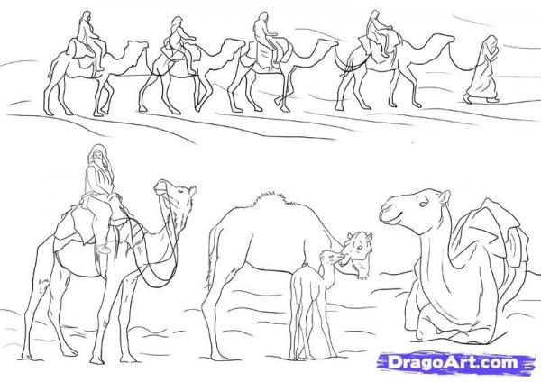 Camel Caravan coloring