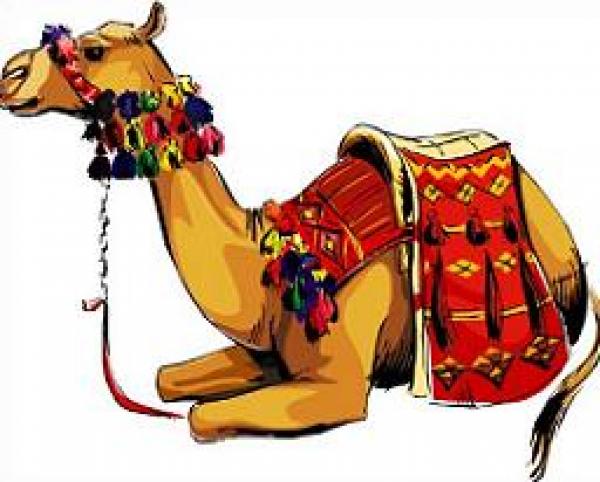 Camel clipart