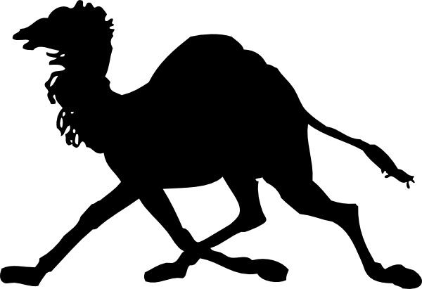 Camel svg