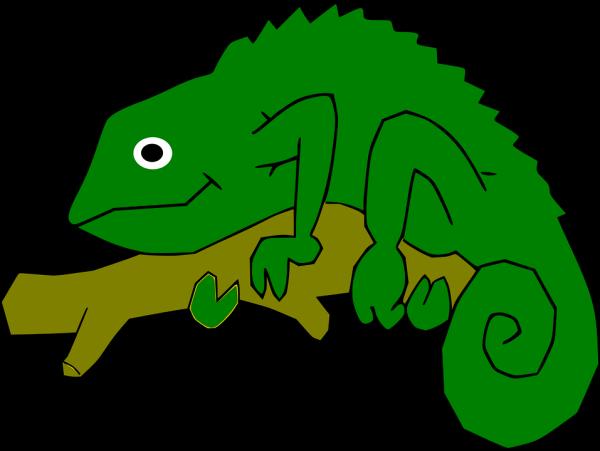 Cameleon svg