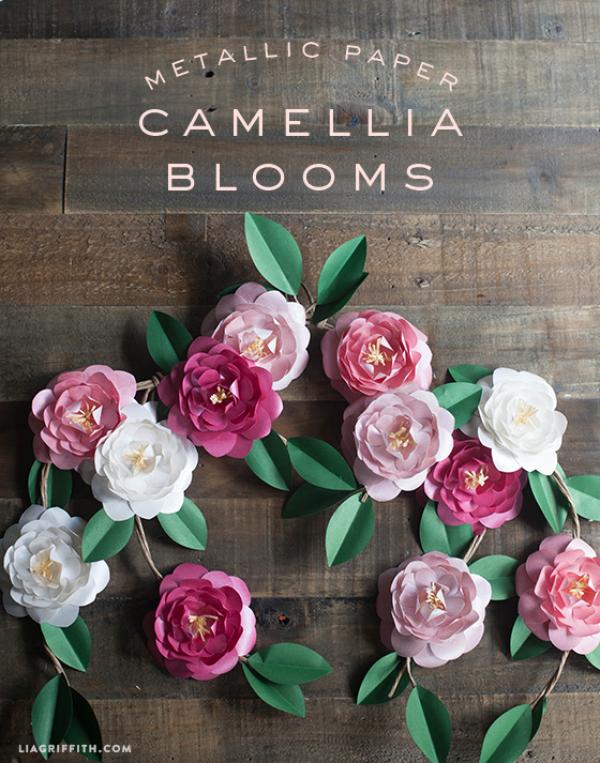 Camellia svg