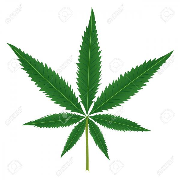 preview Cannabis clipart