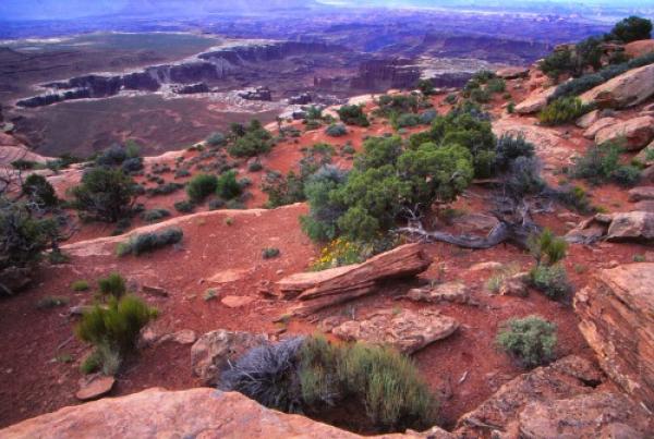 Canyonlands National Park svg