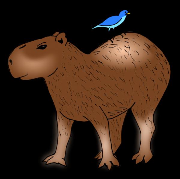 Capybara clipart