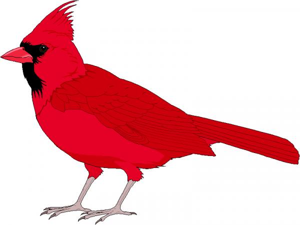 preview Cardinal clipart