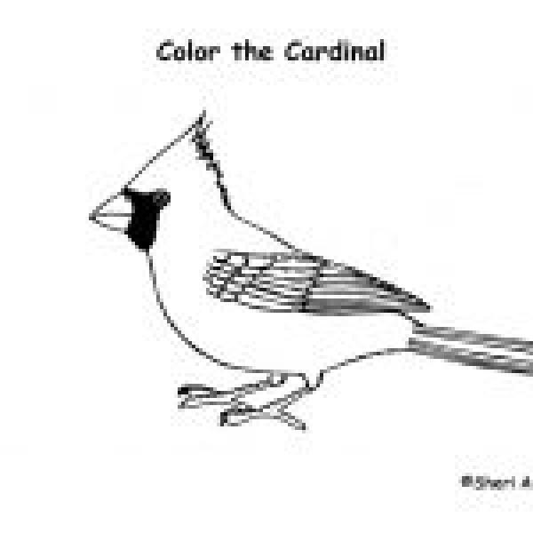 Cardinal coloring