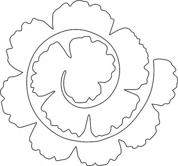 preview Carnation svg