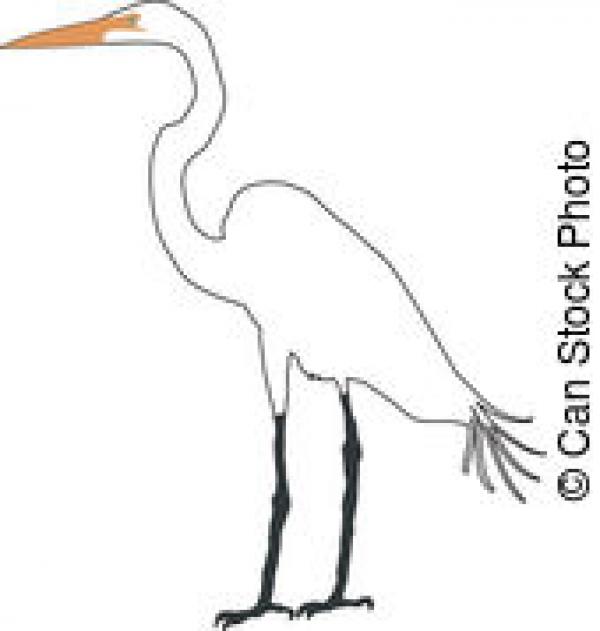 Egret clipart