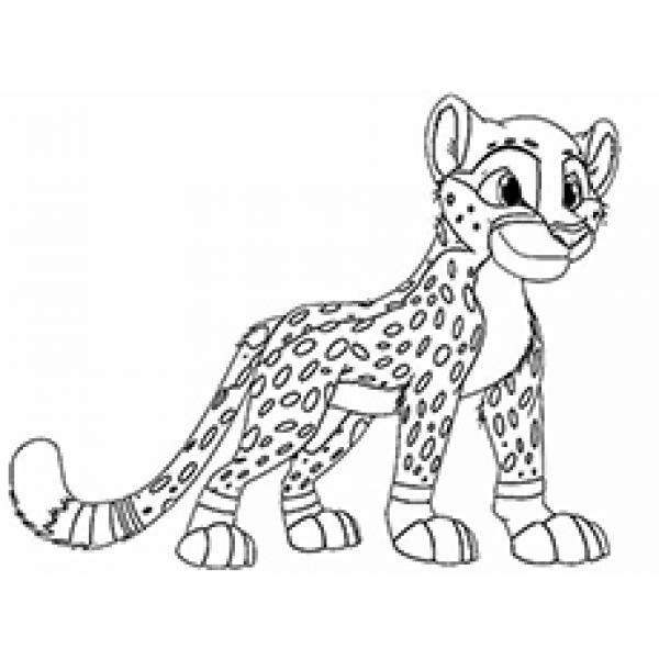 preview Cheetah coloring