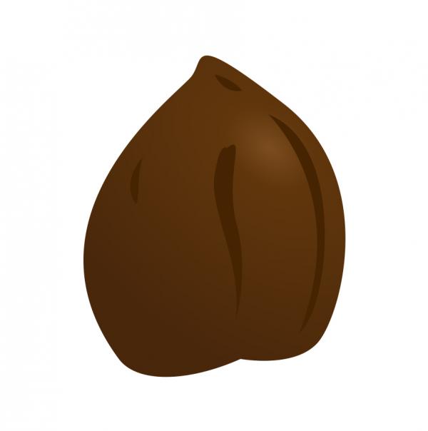 Chestnut clipart