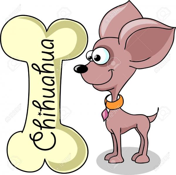 Chihuahua clipart