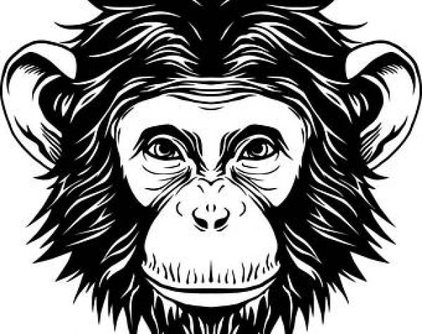 Chimpanzee svg