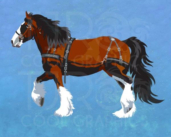 Clydesdale clipart